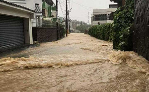高雄市大雨不斷 網友灌爆許立明代理不用負責任？