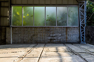 《靜河流深》跨域展演  愛河串起高雄蛻變樣貌