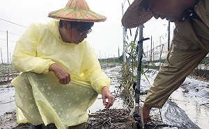 10年農損逾1350億 立院研究支持制定農保專法