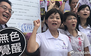 楊麗環登記參選  藍營桃園整合破局