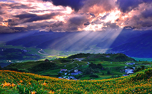 花東忘憂谷！六十石山金針花季 徜徉秋季金黃花海