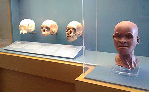 博物館大火萬年人類化石付之一炬   巴西舉國哀悼