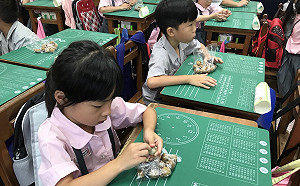 吃在地食當季！ 國中小營養午餐也吃得到龍眼