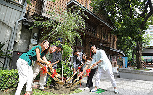 柳下食堂走過百年  後代植柳樹見證歷史