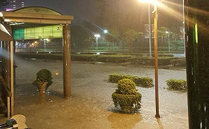 豪雨成災台北市百處積水  各區傳災情