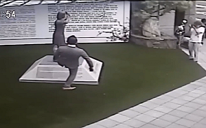 公開藤井實彥腳踢慰安婦銅像影片 謝龍介籲嚴厲譴責（影）