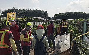 高市登革熱疫情拉警報 境外移入病例倍增