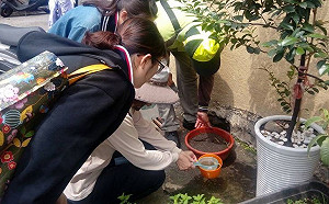 台中登革熱開闢新戰區！醫院也淪陷