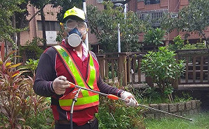 防止登革熱疫情擴散  台中市啟用三應變措施