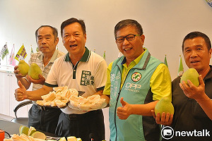 大坑文旦柚盛產　中市議員大力推薦送禮最佳選擇