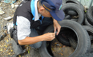 防堵登革熱蔓延  環保署全面清查3天告發18件