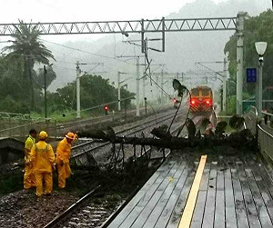 強風侵襲！台東山里車站樹倒  台鐵電車線遭壓斷