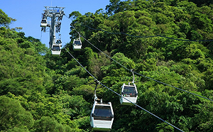 中秋連假好去處！貓纜賞月新體驗