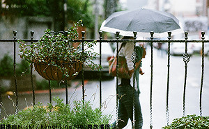 周末變天難賞月？專家籲戶外活動要備案！