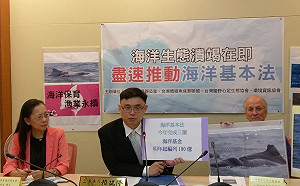 救救海洋！白海豚被漁網纏繞   環團盼盡速通過海洋基本法