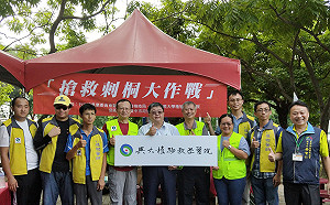 刺桐釉小蜂入侵！樹幹注射法救回133棵行道樹