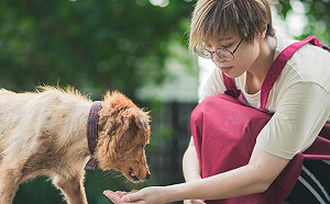 汪星人也會失智？飼主千萬留意這些症狀