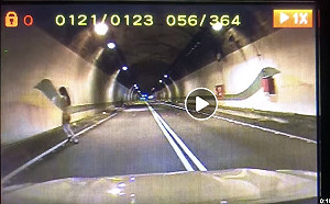 國道半夜經見裸女 駕駛嚇壞：搞什麼東西