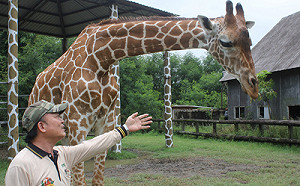 台南頑皮世界長頸鹿「宵順」猝死  北市將助釐清死因