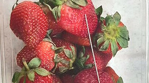 澳洲草莓藏針燒到紐西蘭！超市急下架