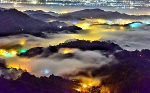 台中打卡新亮點！休閒園區豐富生態玩透透