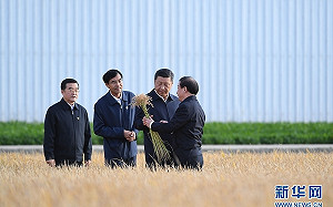 與美國貿易戰首度表態  習近平：自立更生不是壞事