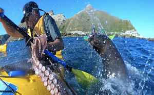 影／大自然反撲？男爽滑獨木舟　下一秒竟被「章魚甩臉」