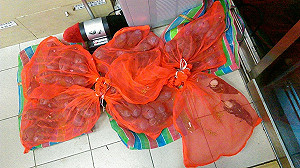 不當賣鳥屢勸不聽 放生男遭重罰45萬