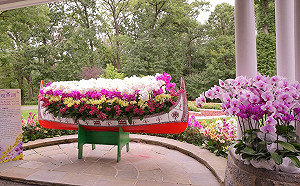 台灣蘭花攻佔美國！雙橡園130蘭花品種繽紛綻放