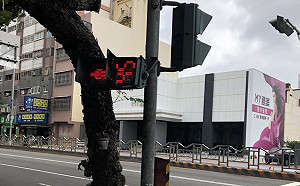 台中連夜強風不斷  小綠人被吹倒「橫著走」