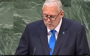 第73屆聯合國大會  眾友邦替台灣發聲