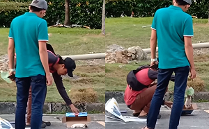 影／暖男救乳犬遭狗媽「火大趕人」　手刀奔飛網笑到噴淚