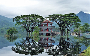 秋遊嘉義台三線！森林、溫泉、牧場一次遊遍