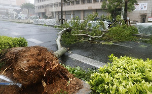 潭美狂掃沖繩後恐撲日本本島 關西機場暫關閉
