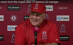 MLB／天使執教19載  索西亞卸下總教練