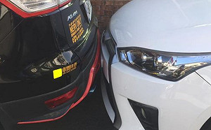 愛車狂被親屁股  他送鄰居「這隻雞」黏車頭！網笑翻