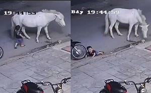 影／手賤連戳白馬三次…屁孩遭後腿踹飛  狠撞機車重摔地