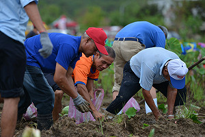 保障農民工作安全！農民職災保險申請很方便