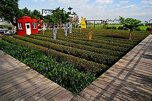 南投茶博會今登場！台商霸氣花165萬元購入特等茶