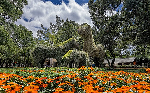 花博打卡新亮點！ 阿拉伯馬綠雕「駕」到