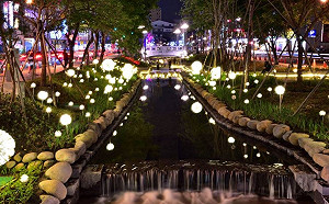 改造河川大成功 台中綠川獲日本百佳獎