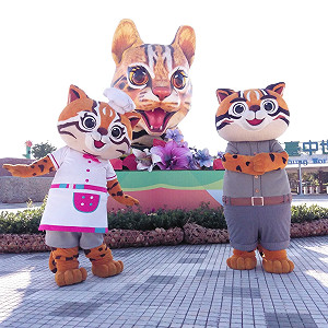 台中花博增亮點！人氣冠軍「石虎花車」盛大回歸