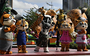 石虎家族嗨翻花博　每周六快閃短劇與親子同樂！