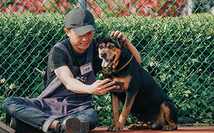 毛孩關節也會老化？提早預防3大徵兆看端倪