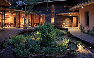 台中花博登場！台鐵加開車次疏運遊客