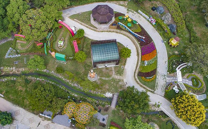 台中花博晚會好精彩！交通接駁懶人包看這裡