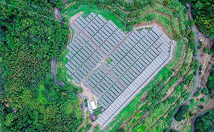 用「心」發電！「新北森之光」環保減碳打卡新亮點