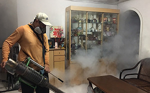 登革熱新確診6例！疾管署提醒：氣候仍利媒蚊生長