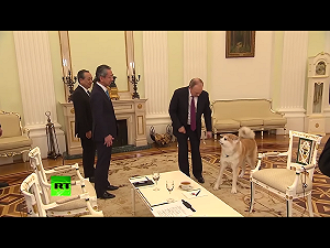 判若兩人！蒲亭送花給梅克爾  但對著日本訪客下「狗」威…