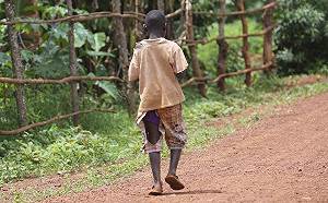 蕭徐行觀點》極端氣候下  東非國家的蝗禍危機